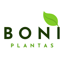 boni plantas